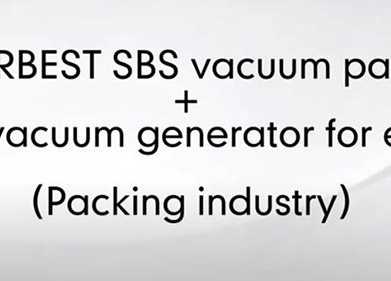 AIRBEST SBS Vakuum Pad BIN Vakuum Generator Für Eier